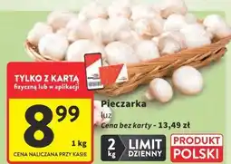 Intermarche Pieczarka luz oferta