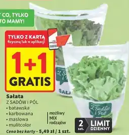 Intermarche Sałata Z SADÓW I PÓL oferta