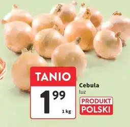 Intermarche Cebula luz oferta