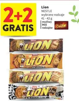 Intermarche Lion oferta
