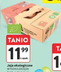 Intermarche Jaja ekologiczne WYSOKA GRZĘDA oferta