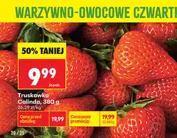 Biedronka Truskawka Calinda oferta