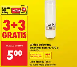 Biedronka Wkład zalewany do zniczy Lumia oferta