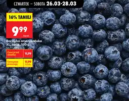Biedronka Borówka amerykańska XL, opak oferta