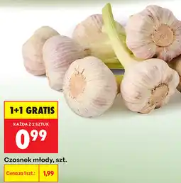 Biedronka Czosnek młody oferta