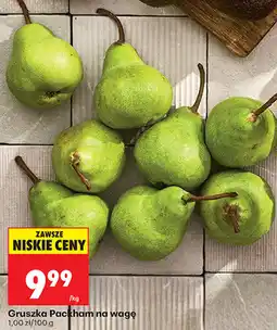 Biedronka Gruszka Packham na wagę oferta