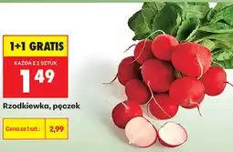 Biedronka Rzodkiewka, pęczek oferta