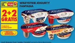Biedronka Wszystkie jogurty Fantasia oferta