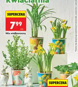 Biedronka Mix wielkanocny oferta