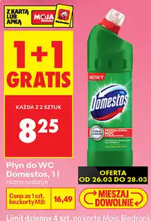Biedronka Płyn do WC Domestos oferta