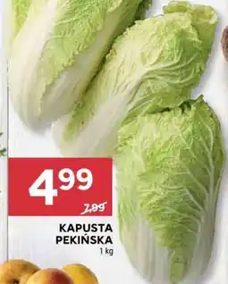 Stokrotka Market Kapusta pekińska oferta