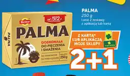 Groszek Bielmar Palma oferta