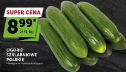 Groszek Ogórki szklarniowe polskie oferta