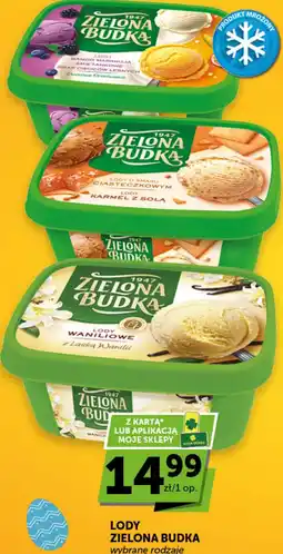 Groszek Zielona Budka Lody oferta