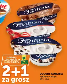 Groszek Jogurt Fantasia oferta