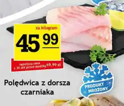 Gram Market Polędwica z dorsza czarniaka oferta