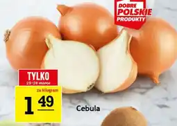 Gram Market Cebula oferta