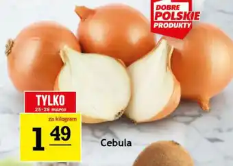 Gram Market Cebula oferta