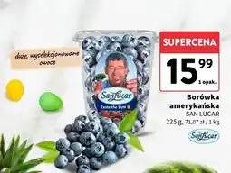 Intermarche Borówka amerykańska oferta