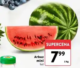 Intermarche Arbuz mini oferta