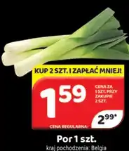 Delfin Por 1 szt oferta