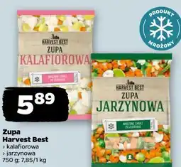Netto Zupa Harvest Best oferta