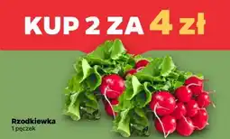 Netto Rzodkiewka oferta