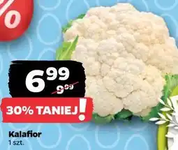 Netto Kalafior oferta