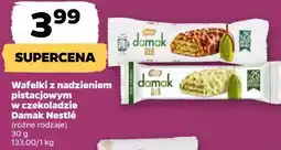 Netto Wafelki z nadzieniem pistacjowym w czekoladzie Damak Nestlé oferta