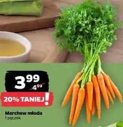 Netto Marchew młoda oferta