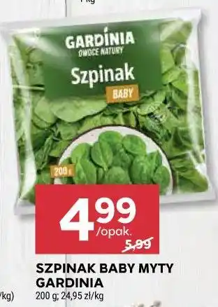 Stokrotka SZPINAK BABY MYTY GARDINIA oferta