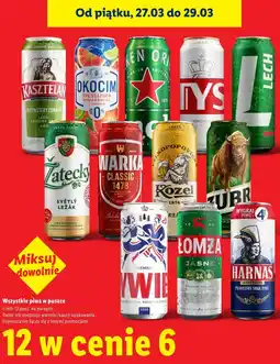 Lidl Wszystkie piwa w puszce oferta