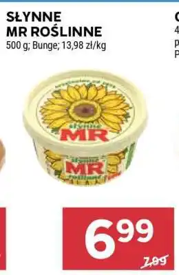 Stokrotka Market Słynne MR roślinne oferta