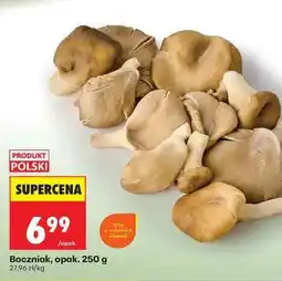 Biedronka Boczniak, opak. 250 g oferta