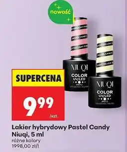 Biedronka Lakier hybrydowy Pastel Candy Niuqi, 5 ml oferta