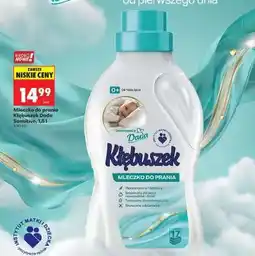 Biedronka Mleczko do prania Kłębuszek Dada Sensitive, 1,5 l oferta