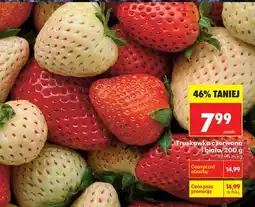 Biedronka Truskawka czerwona i biała, 200 g oferta