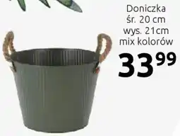 Black Red White Doniczka oferta