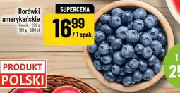 Polomarket Borówki amerykańskie oferta
