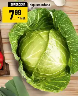 Polomarket Kapusta młoda oferta