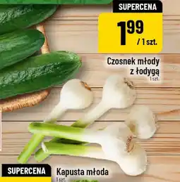 Polomarket Czosnek młody z łodygą oferta