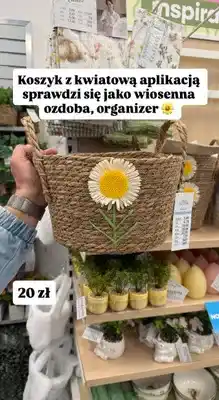 Pepco Koszyk z kwiatową aplikacją oferta