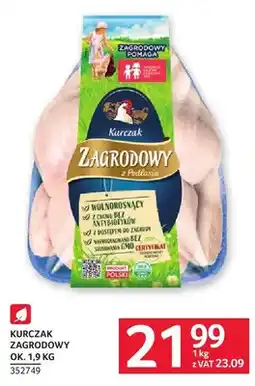 Selgros Kurczak zagrodowy ok oferta