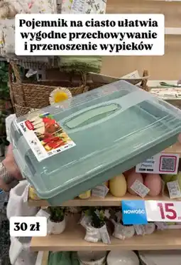 Pepco Pojemnik na ciasto oferta
