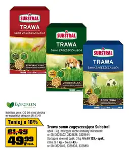 OBI Trawa Substral oferta