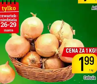 Delikatesy Piotruś Pan Cebula oferta