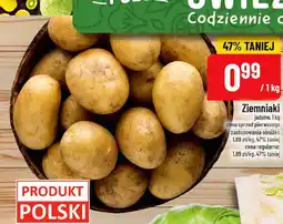 Polomarket Ziemniaki jadalne oferta