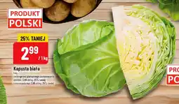 Polomarket Kapusta biała oferta