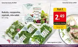 Market Point Rukola, roszponka, szpinak, mix sałat oferta