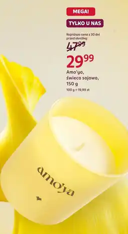 Rossmann Świeca Amo'ya oferta